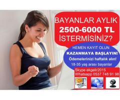 6000.00 ₺ İNTERNETTEN EVDEN KOLAY PARA KAZANMA İMKANI