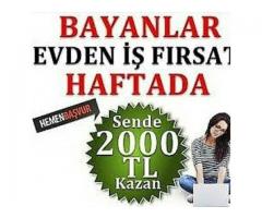 sohbet operatörü 33 tl