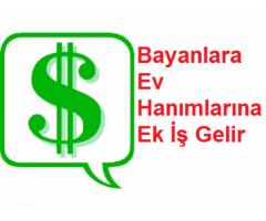 EVİNDE BİLGİSAYARI OLAN BAYANLAR