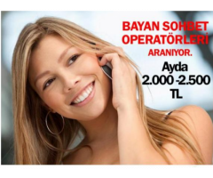 BİLGİSAYAR VE İNTERNETİN OLAN BAYANLARA EVDE ÇALIŞARAK İŞ İMKANI