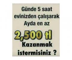 GÖRÜNTÜLÜ SOHBET SİTELERİNDEN PARA KAZANMA