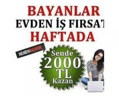 Haftada 1000 TL Sadece Bizde Kazanabilirsiniz