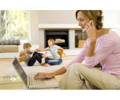 Canlı alemde Model Ol