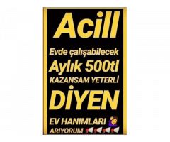 BAYAN ELEMAN ARANIYOR