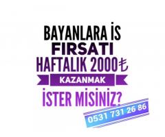 Sohbet Sitelerinde Para Kazanmak İsteyen Bayanlar