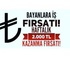 Haftalık Net 1000 TL Kazanç