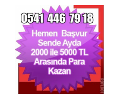 Canlı Alem Model Başvuru-İletişim