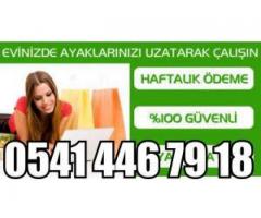 AKILLI TELEFON,TABLETTEN VE BİLGİSAYARDAN ÇALIŞARAK SAATİ 50 TL -HAFTALIK ÖDEME