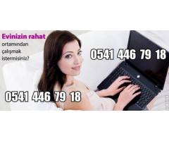 AKILLI TELEFON,TABLETTEN VE BİLGİSAYARDAN ÇALIŞARAK SAATİ 50 TL -HAFTALIK ÖDEME