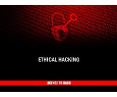 Kiralık hacker (2023) - White Hacking