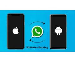 Kiralık hacker (2024) - White Hacking