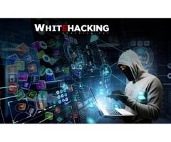Hacker arıyorum (2024) - White Hacking