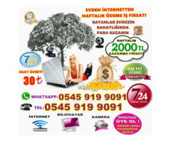 internetten evden  para kazanma imkanı