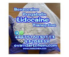 99% Lidocaine Powder CAS 137-58-6 Factory  Lidocaine powder