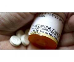 Oxycodone 80mg Dostava u Srbiji – Sigurna i Pouzdana Kupovina