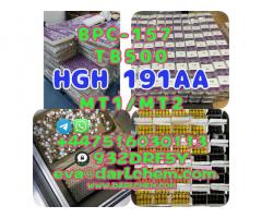 HGH 191AA BPC 157 TB 500 raw powder 12629-01-5 raw Powder