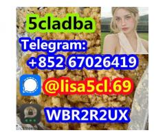 5cladba best cannabinoid 5cladba precursor raw 5cl-adb-a material in stock1399816-54-6