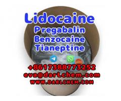 Lidocaine Tianeptine pregabalin raw Powder 137-58-6 Best Price