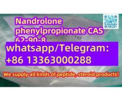 Nandrolone3-phenylpropionate cas 62-90-8