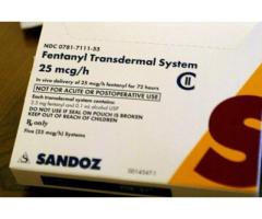 Fentanyl-Pleister voor Chronische Pijn – Vandaag Nog Bestellen in Nederland of België