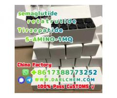 Semaglutide 5-AMINO-1MQ Retatrutide 910463-68-2  Raw Powder