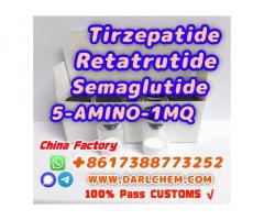 Semaglutide 5-AMINO-1MQ Retatrutide 910463-68-2 Wholesale Price