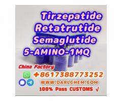 Semaglutide 5-AMINO-1MQ Retatrutide 910463-68-2 Wholesale Price
