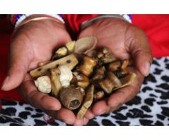 SPIRITUAL HEALER (♥+27764410726 ♥) SPELL CASTER IN Switzerland, Denmark, Brunei, Netherlands, Denmar
