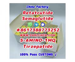 Semaglutide 5-AMINO-1MQ Retatrutide 910463-68-2  High Quality