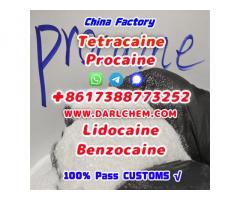 137-58-6  Lidocaine Benzocaine Procaine raw Powder Top Quality