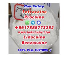 137-58-6  Lidocaine Benzocaine Procaine raw Powder Top Quality