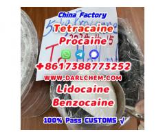 137-58-6  Lidocaine Benzocaine Procaine raw Powder Top Quality