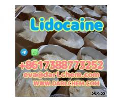 Procaine crystals Powder 59-46-1 Chinese Factory, 99% Purity Em Po Polvo Door to Door
