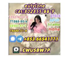 eutylone,mdma,2fdck,cas:802855-66-9,99% purity(+853 66541771)