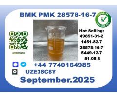 CAS 28578-16-7 B.M.K P.M.K. Certified Factory Supply
