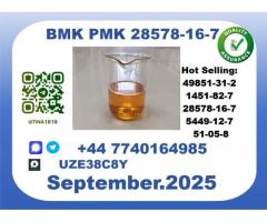 CAS 28578-16-7 B.M.K P.M.K. Certified Factory Supply