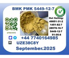 Pharmaceutical B.M.K P.M.K,5449-12-7 Chemical raw materials