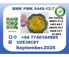 Pharmaceutical B.M.K P.M.K,5449-12-7 Chemical raw materials