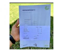 WhatsApp(+371 204 33160)Buy B2 GOETHE GERMAN LANGUAGE ZERTIFIKATE,GET TELC B1 Certificates