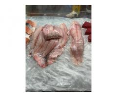 CamSeafoodWorldwide – Global Supplier of Seafood & Food Products