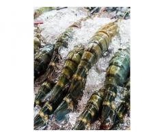 CamSeafoodWorldwide – Global Supplier of Seafood & Food Products