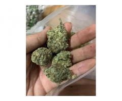 Oxycodone Adderall pills fentanyl, Crystal meth for sale