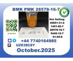 CAS 28578-16-7 BMK PMK Certified Factory Supply