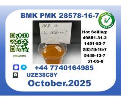 CAS 28578-16-7 BMK PMK Certified Factory Supply