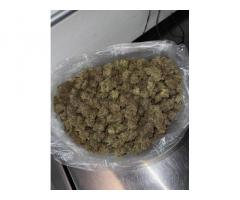 Signal: +(34)607218704) BUY WEED,SHROOMS,XANAX,ABORTION PILLS FOR SALE IN SAUDI ARABIA
