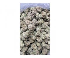 Signal: +(34)607218704) Buy Pain killers | Mdma,2CB,A-PVP,3CMC | OZEMPIC | STEROIDS (Ecstasy/Nembuta