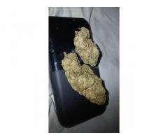 Signal: +(34)607218704) Buy Pain killers | Mdma,2CB,A-PVP,3CMC | OZEMPIC | STEROIDS (Ecstasy/Nembuta