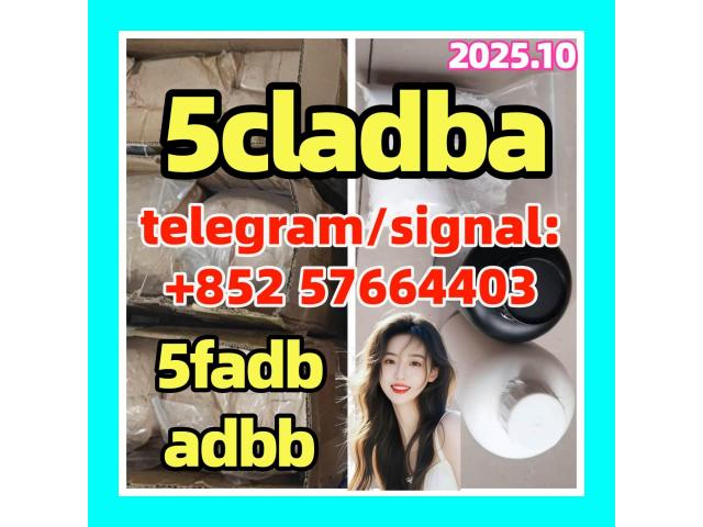 5CLADBA Yellow Powder Buy 5CL-ADB-A Online for Pharmaceutical Intermediates 5CLADBA Yellow Powder Buy 5CL-ADB-A Online for Pharmaceutical Intermediates