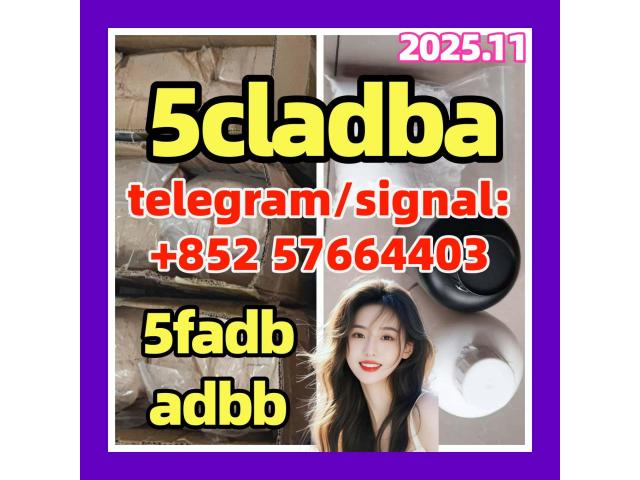 5CL-ADB supplier 5cladba 5cladb vendor on sale 5CL-ADB supplier 5cladba 5cladb vendor on sale