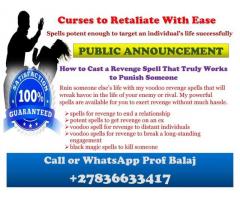 Most Detailed Guide to the Top 10 Most Powerful Revenge Spells That Work Instantly +27836633417